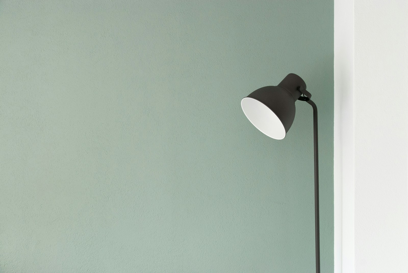 Dark reading lamp set against a green wall